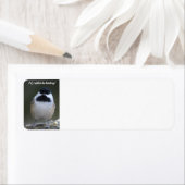 Chickadee zou ik liever het label van het postadre (Insitu)