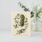 Chickadees and Bushtit, Audubon's Birds of America Briefkaart (Staand voorkant)