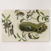 Chickadees and Bushtit, Audubon's Birds of America Legpuzzel (Horizontaal)