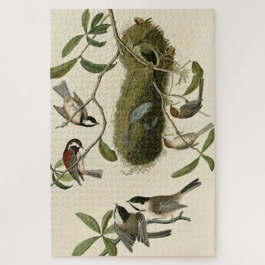 Chickadees and Bushtit, Audubon's Birds of America Legpuzzel (Verticaal)