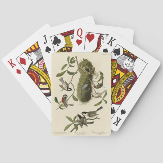 Chickadees and Bushtit, Audubon's Birds of America Pokerkaarten (Achterkant)