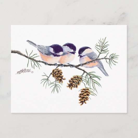 CHICKADEES EN PINECONES VAN SHARON SHARPE BRIEFKAART (Voorkant)