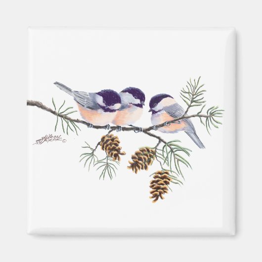 CHICKADEES EN PINECONES VAN SHARON SHARPE MAGNEET (Voorkant)