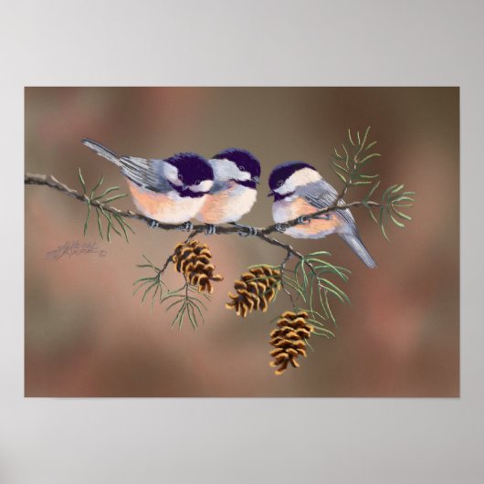 CHICKADEES EN PINECONES VAN SHARON SHARPE POSTER (Voorkant)