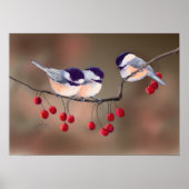 CHICKADEES EN RED BERRIES VAN SHARON SHARPE POSTER (Voorkant)