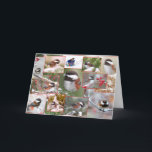 Chickadees in de Collage van de Winter Feestdagen Kaart<br><div class="desc">Birders zal van deze collage van foto's van leuke chickadees in de winter houden. Wij hebben chickadees op mijn gebied kastanje-gesteund en zij zijn waarschijnlijk mijn favoriete vogel. Deze collage kenmerkt foto's van deze mooie kleine vogels zittend in de sneeuw op altijdgroene boomtakken, met rode bessen, pijnboomnaalden, dalende sneeuw, die...</div>