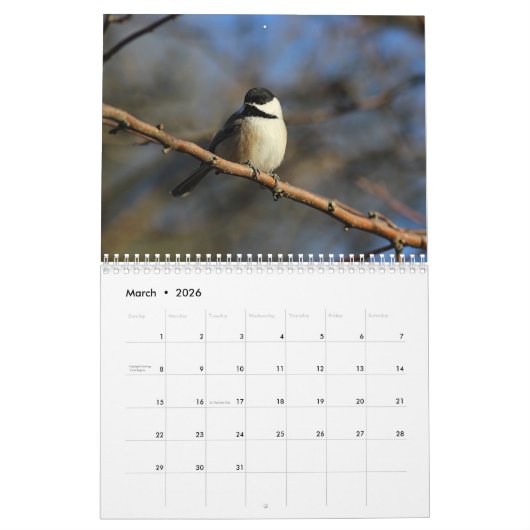 Chickadees Kalender (Mar 2026)