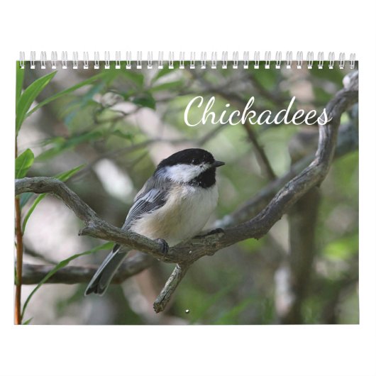 Chickadees Kalender (Hoes)