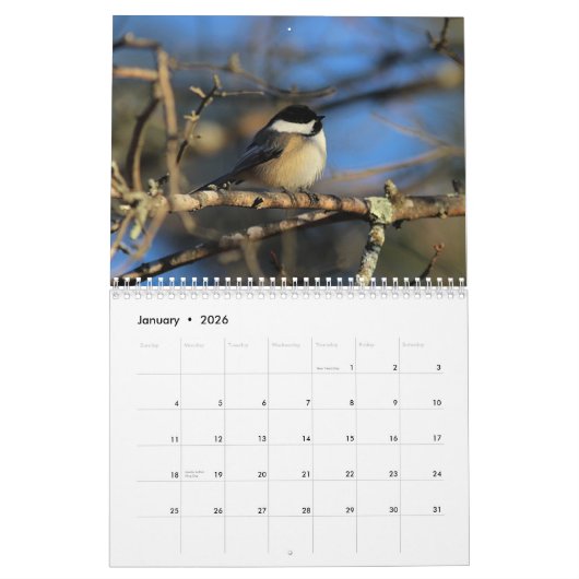 Chickadees Kalender (Jan 2026)