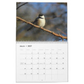 Chickadees Kalender (Mar 2027)