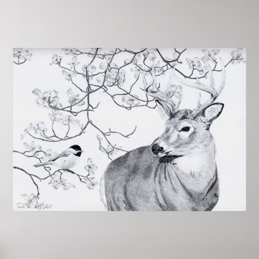 Chickadee's Song Poster (Voorkant)