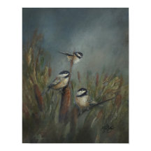 Chickadees Vijver
