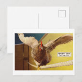 Chicken Acrobat Walking A Tight Rope Oddity Briefkaart (Voorkant / Achterkant)