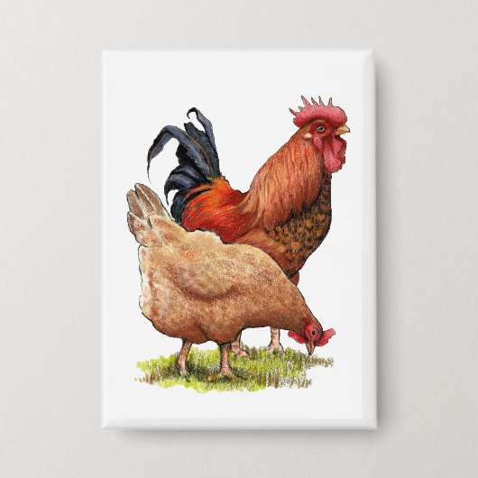 Chicken And Rooster Art, Poultry, Farm Animals Button (Voorkant)