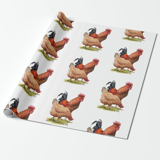 Chicken And Rooster Art, Poultry, Farm Animals Cadeaupapier (Uitgerold)