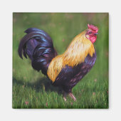 Chicken Art Stuart Bantam Haan Magneet (Voorkant)