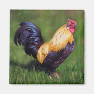 Chicken Art Stuart Bantam Haan Magneet