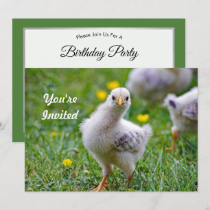 Chicken Baby Chick Photo Birthday Kaart