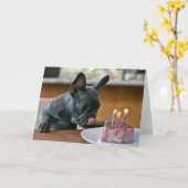 Chicken Birthday Wenskaart Kaart (Gele Bloem)