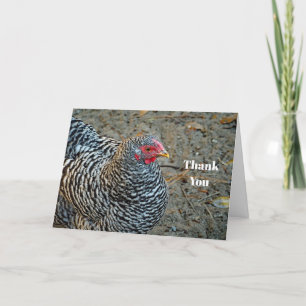 Chicken Black en White Hen Photo Bedankkaart