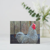 Chicken Black en White Rooster Photo Briefkaart (Staand voorkant)