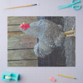 Chicken Black en White Rooster Photo Tissuepapier (Craft)