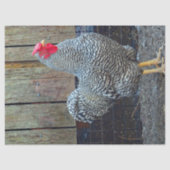 Chicken Black en White Rooster Photo Tissuepapier (Voorkant)