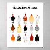chicken breeds chart poster (Voorkant)