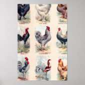 Chicken Briet Vintage Poster (Voorkant)