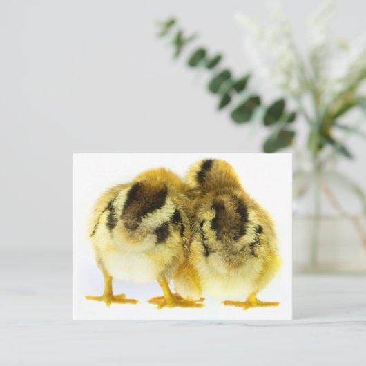 Chicken Butt Briefkaart (Staand voorkant)