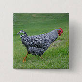 Chicken Button (Voorkant)