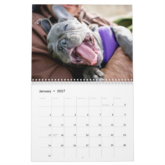 Chicken Calendar 2013 Kalender (Jan 2027)