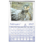 Chicken Calendar Kalender (Feb 2027)