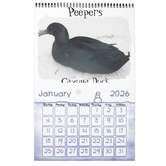 Chicken Calendar Kalender (Jan 2026)