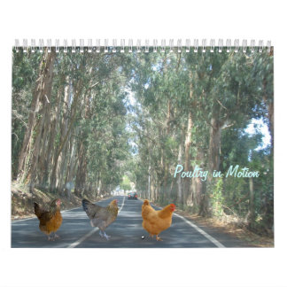 Chicken Calendar Kalender