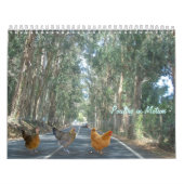 Chicken Calendar Kalender (Hoes)