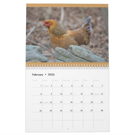 Chicken Calendar Kalender (Feb 2026)