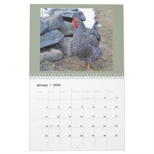 Chicken Calendar Kalender (Jan 2026)