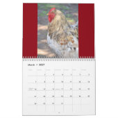 Chicken Calendar Kalender (Mar 2027)