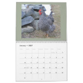 Chicken Calendar Kalender (Jan 2027)