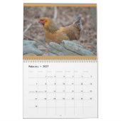Chicken Calendar Kalender (Feb 2027)