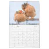 Chicken Calendar Kalender (Jan 2027)