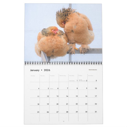Chicken Calendar Kalender (Jan 2026)