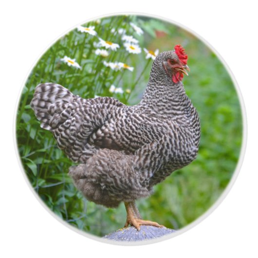 Chicken Ceramic Knob Keramische Knop (Voorkant)