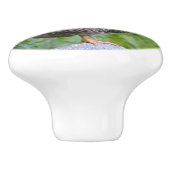 Chicken Ceramic Knob Keramische Knop (Zijkant)