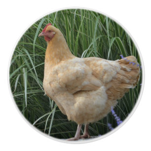 Chicken Ceramic Knob Keramische Knop