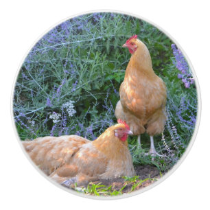 Chicken Ceramic Knob Keramische Knop