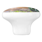 Chicken Ceramic Knob Keramische Knop (Zijkant)