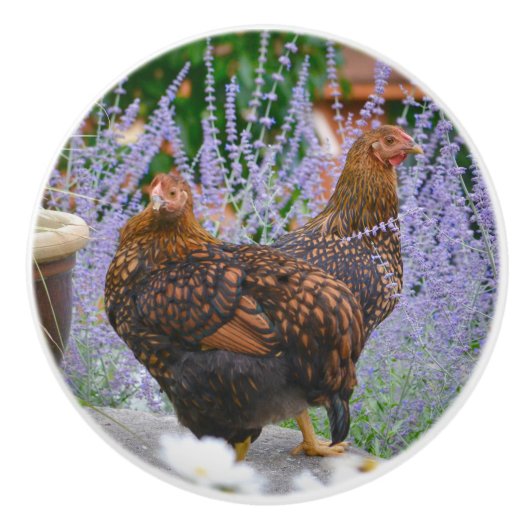 Chicken Ceramic Knob Keramische Knop (Voorkant)