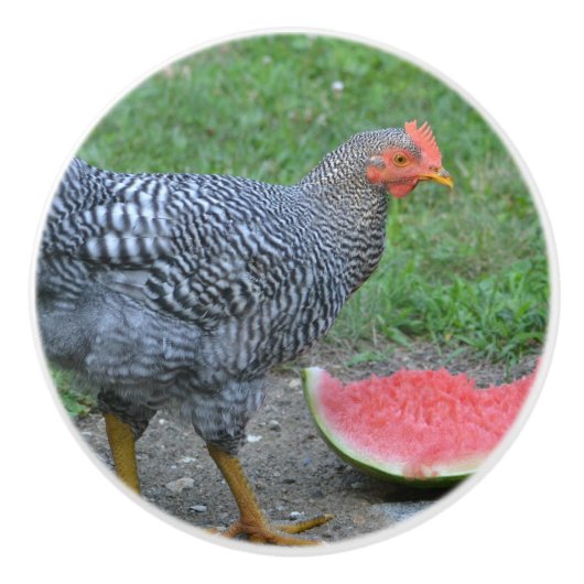 Chicken Ceramic Knob Keramische Knop (Voorkant)